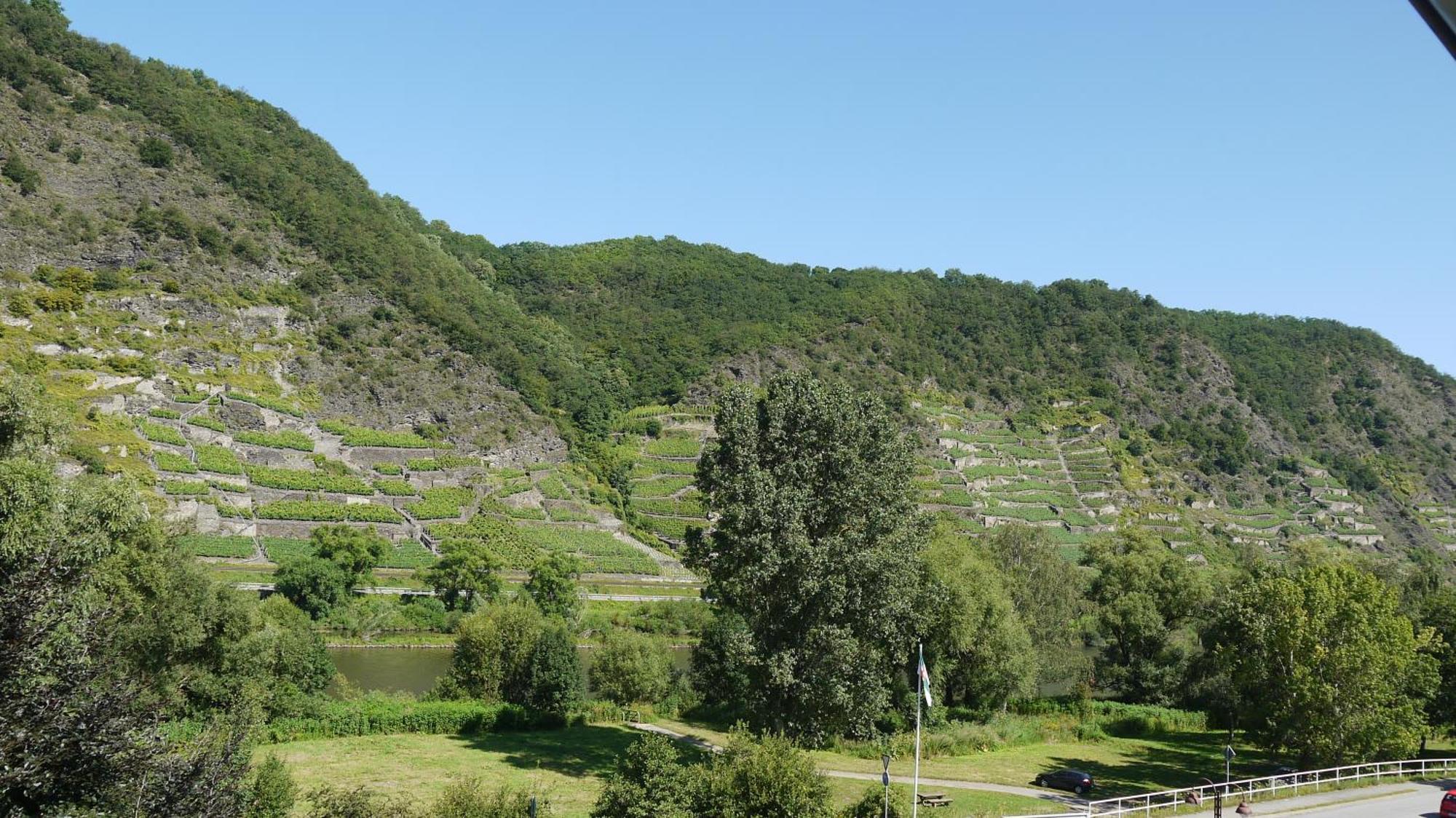 Hotel-Garni-Kachelburg Диблих Екстериор снимка